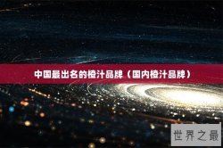 中国最出名的橙汁品牌（国内橙汁品牌）