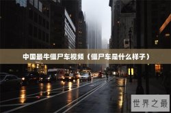 中国最牛僵尸车视频（僵尸车是什么样子）