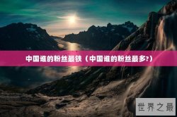 中国谁的粉丝最铁（中国谁的粉丝最多?）