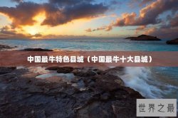 中国最牛特色县城（中国最牛十大县城）