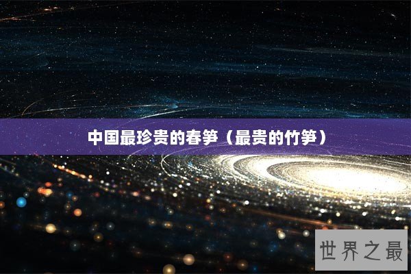中国最珍贵的春笋（最贵的竹笋）