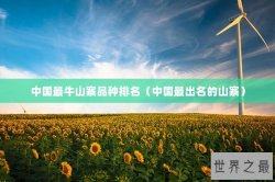 中国最牛山寨品种排名（中国最出名的山寨）