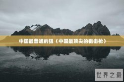 中国最普通的狙（中国最顶尖的狙击枪）