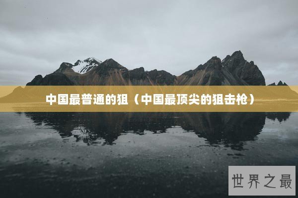 中国最普通的狙（中国最顶尖的狙击枪）