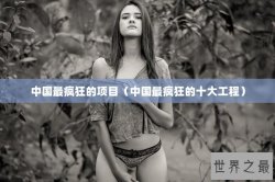 中国最疯狂的项目（中国最疯狂的十大工程）