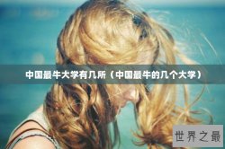 中国最牛大学有几所（中国最牛的几个大学）