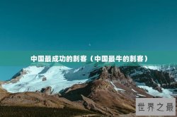 中国最成功的刺客（中国最牛的刺客）