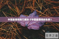 中国最赚钱的几桶水（中国最赚钱的生意）