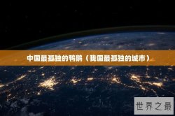 中国最孤独的鸭鹅（我国最孤独的城市）