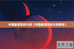 中国最漂亮的大妈（中国最漂亮的大妈排名）