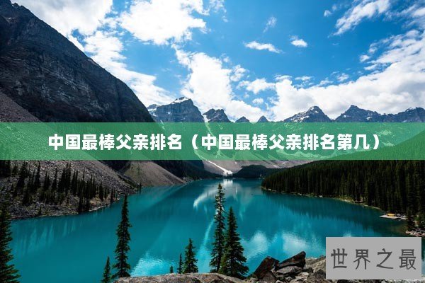 中国最棒父亲排名（中国最棒父亲排名第几）