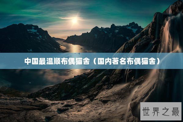 中国最温顺布偶猫舍（国内著名布偶猫舍）