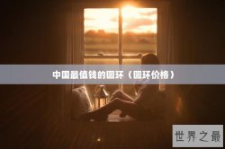 中国最值钱的圆环（圆环价格）