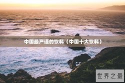中国最严谨的饮料（中国十大饮料）