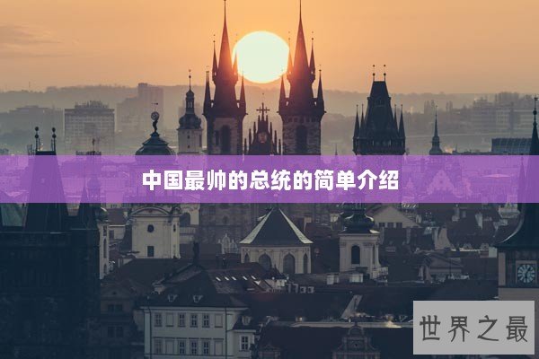 中国最帅的总统的简单介绍