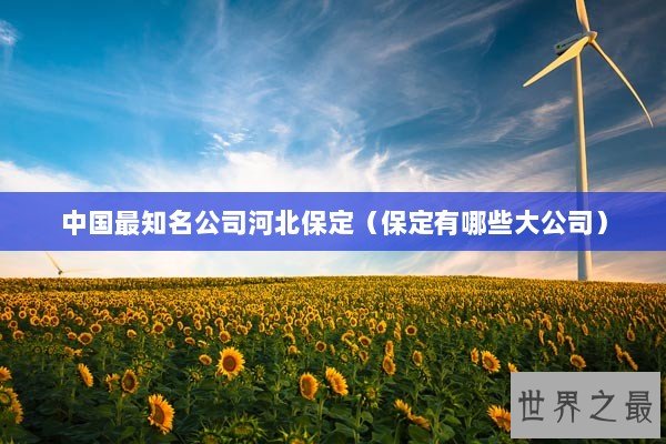 中国最知名公司河北保定（保定有哪些大公司）