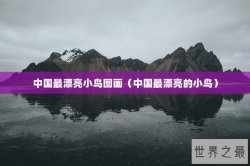 中国最漂亮小鸟图画（中国最漂亮的小鸟）