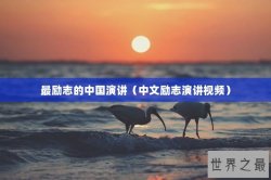 最励志的中国演讲（中文励志演讲视频）
