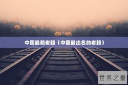 中国最赖老赖（中国最出名的老赖）