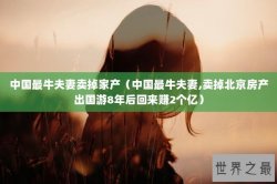 中国最牛夫妻卖掉家产（中国最牛夫妻,卖掉北京房产出国游8年后回来赚2个亿）