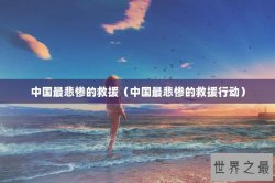 中国最悲惨的救援（中国最悲惨的救援行动）