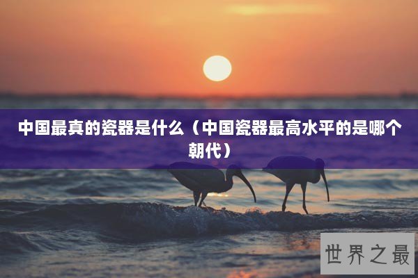 中国最真的瓷器是什么（中国瓷器最高水平的是哪个朝代）