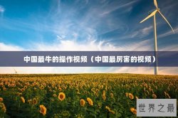 中国最牛的操作视频（中国最厉害的视频）