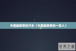 中国最聪明的汽车（中国最聪明的一批人）