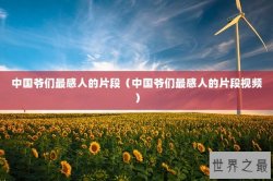中国爷们最感人的片段（中国爷们最感人的片段视频）