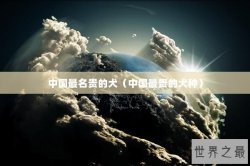 中国最名贵的犬（中国最贵的犬种）