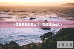 中国最赚钱的男生（中国最赚钱的人）