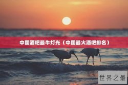 中国酒吧最牛灯光（中国最火酒吧排名）