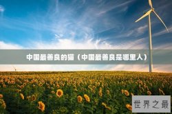 中国最善良的猫（中国最善良是哪里人）