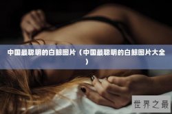 中国最聪明的白鲸图片（中国最聪明的白鲸图片大全）
