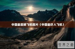 中国最震撼飞机图片（中国最吓人飞机）