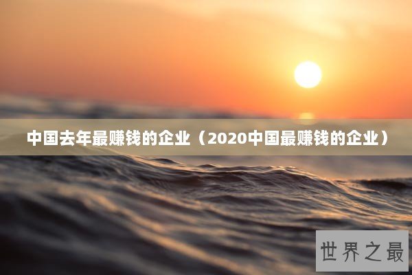 中国去年最赚钱的企业（2020中国最赚钱的企业）
