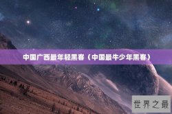 中国广西最年轻黑客（中国最牛少年黑客）