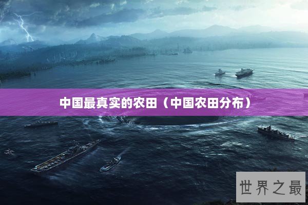 中国最真实的农田(中国农田分布) 中国最真实的农田(中国农田分布)
