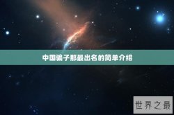 中国骗子那最出名的简单介绍