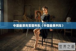 中国最漂亮雪国列车（中国最美列车）
