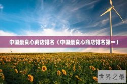 中国最良心商店排名（中国最良心商店排名第一）