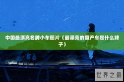 中国最漂亮名牌小车图片（最漂亮的国产车是什么牌子）