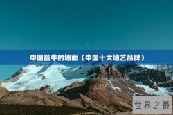 中国最牛的墙面（中国十大墙艺品牌）