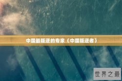中国最叛逆的专家（中国叛逆者）