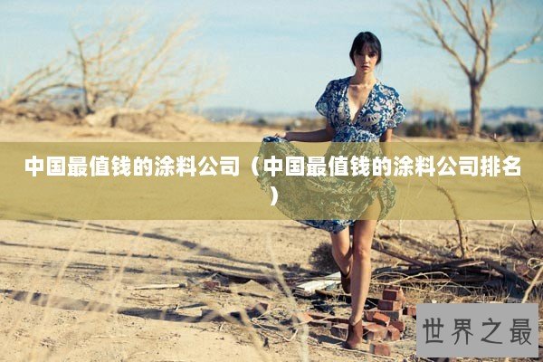 中国最值钱的涂料公司（中国最值钱的涂料公司排名）