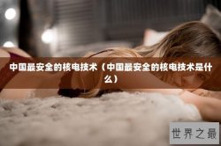 中国最安全的核电技术（中国最安全的核电技术是什么）