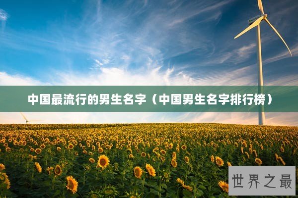 中国最流行的男生名字(中国男生名字排行榜) 中国最流行的男生名字(中国男生名字排行榜)