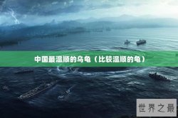 中国最温顺的乌龟（比较温顺的龟）