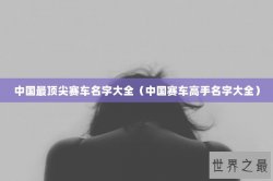 中国最顶尖赛车名字大全（中国赛车高手名字大全）