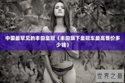 中国最罕见的丰田皇冠（丰田旗下皇冠车最高售价多少钱）